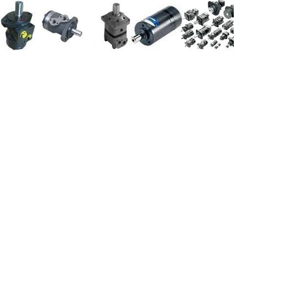 Silnik Sauer Danfoss OMV800; OMV630; OMV500; OMV315; Tech-Serwis — zdjęcie 2