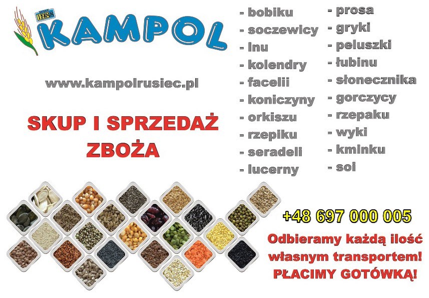 Kupię proso groch facelia łubin pszenica jęczmień peluszka itp