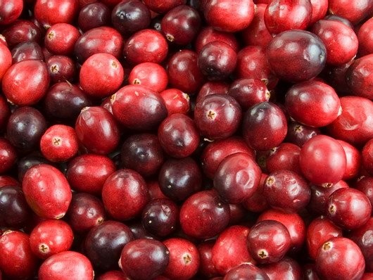 Sprzedam żurawinę żurawina leśna ( bagienna)