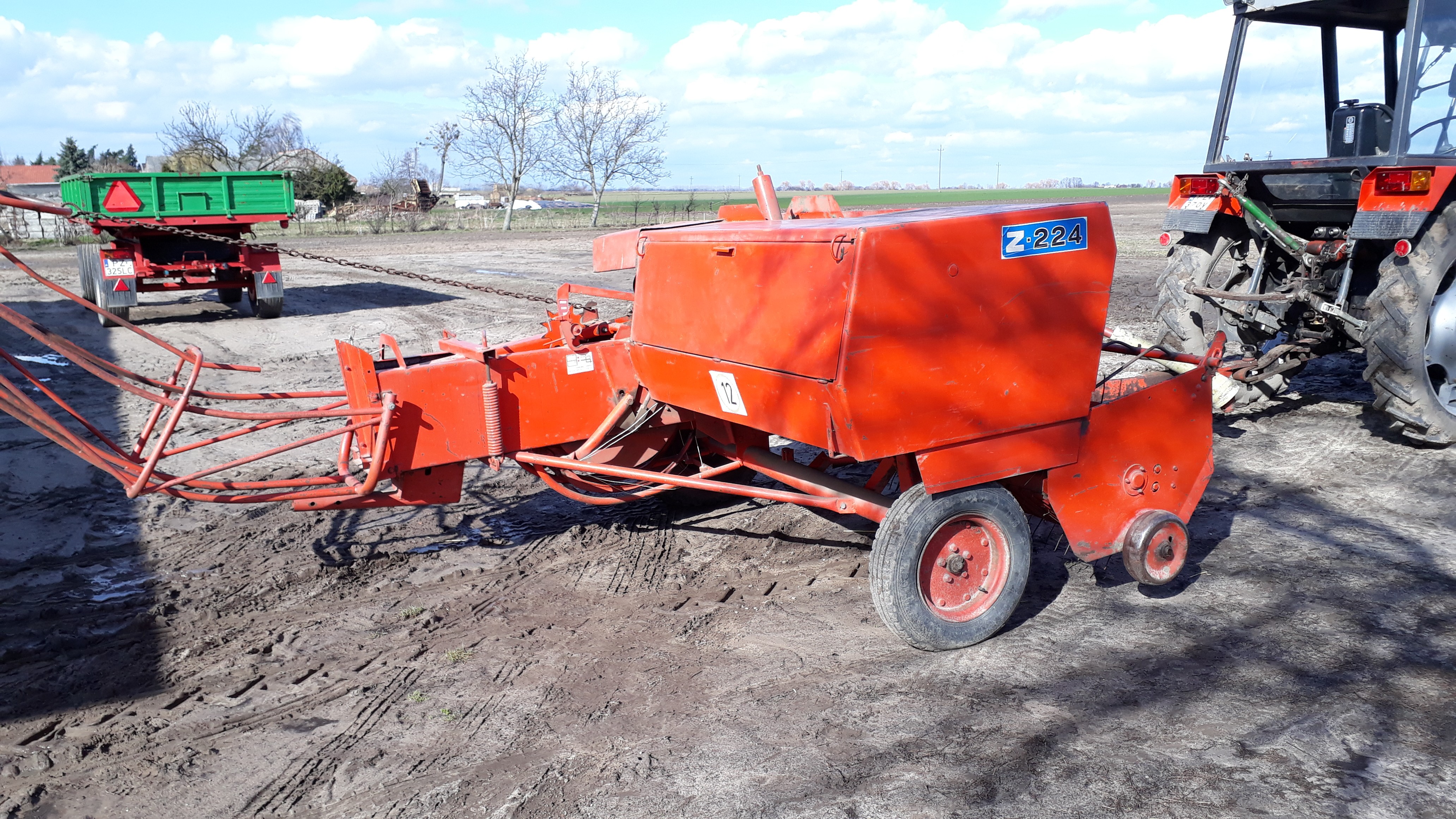 Sprzedam prase Z-224 — zdjęcie 2