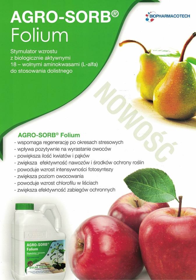 FOLIUM Polskie Aminokwasy 5L.  — zdjęcie 1