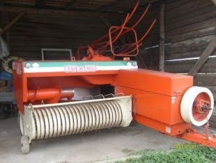 kupie prase simpe z 224