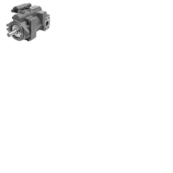 Pompa Duplomatic VPPL-070, VPPL100, VPPL8 — zdjęcie 3