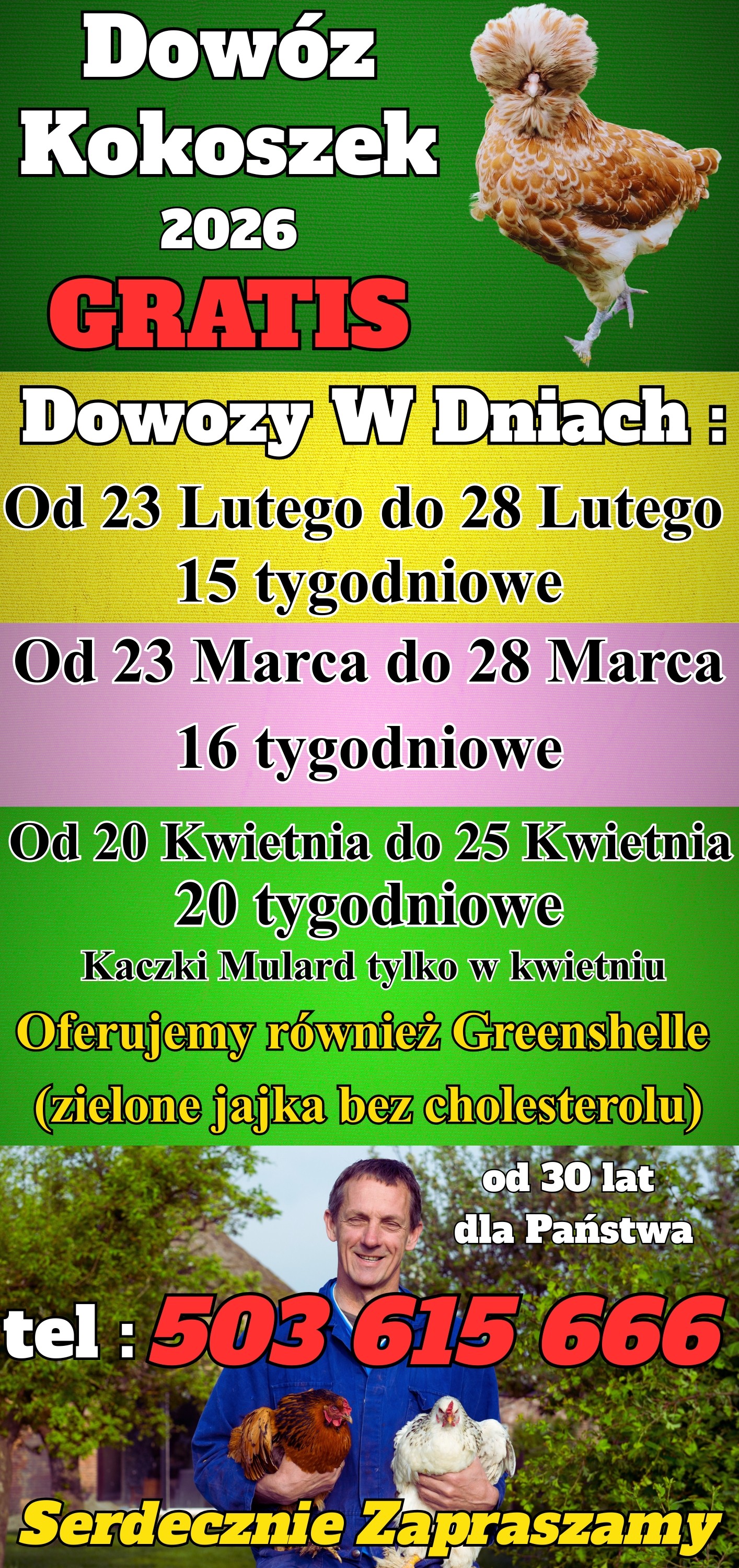  Ferma Drobiu W Ładnej 97A - Dowóz Kokoszek i Kaczek Dowózka GRATIS — zdjęcie 2