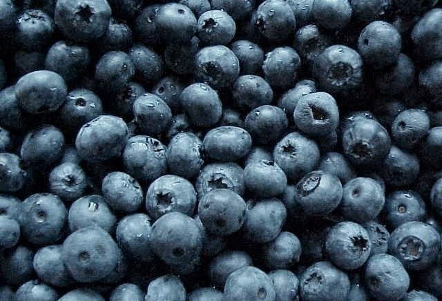 Blueberry wholesale jagody luzem