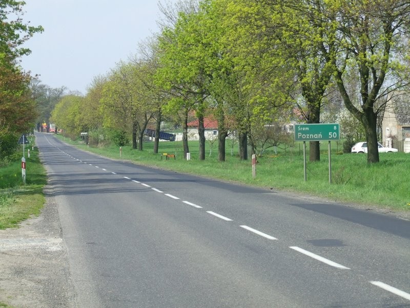 Sprzedam zboże paszowe
