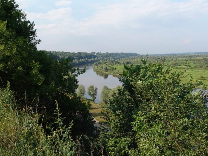 Ukraina. Drewno opalowe.Cena 15 zl/m3 — zdjęcie 1