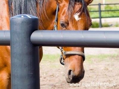 Equisafe - fencing for horses — zdjęcie 3