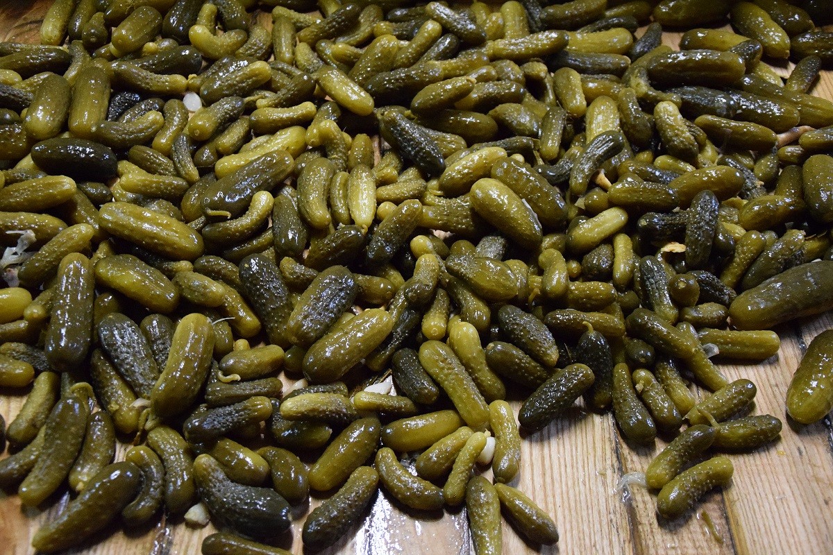 Sprzedam Ogórki kiszone