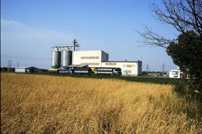 Loschen der größten ökologischen MÜHLE IN POLEN — zdjęcie 1