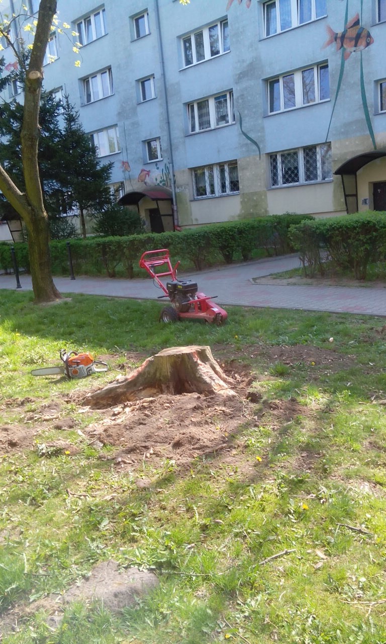 Karczowanie pni, karpy, wyrywanie, Wycinanie Drzew F-Vat — zdjęcie 3