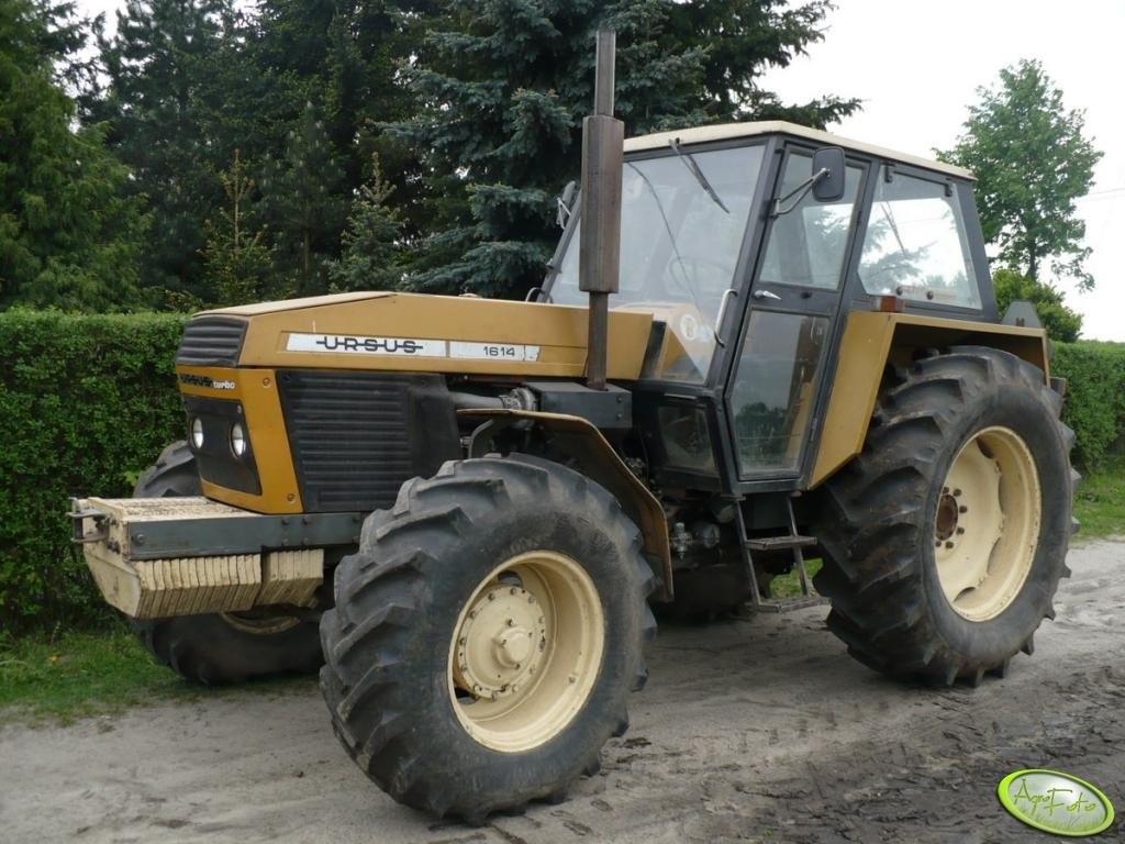 Ursus 1614 - 1989