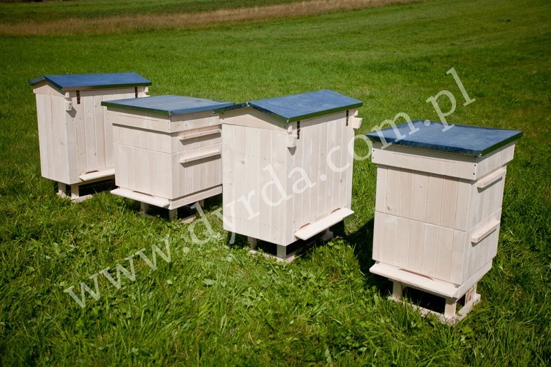 Sprzedam ULE WIELKOPOLSKIE, WARSZAWSKIE, DADANA