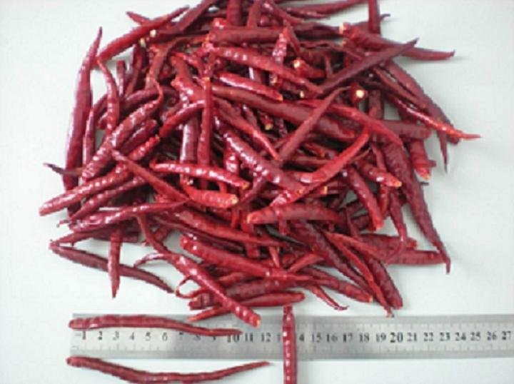 sell chinese spices in poland — zdjęcie 6