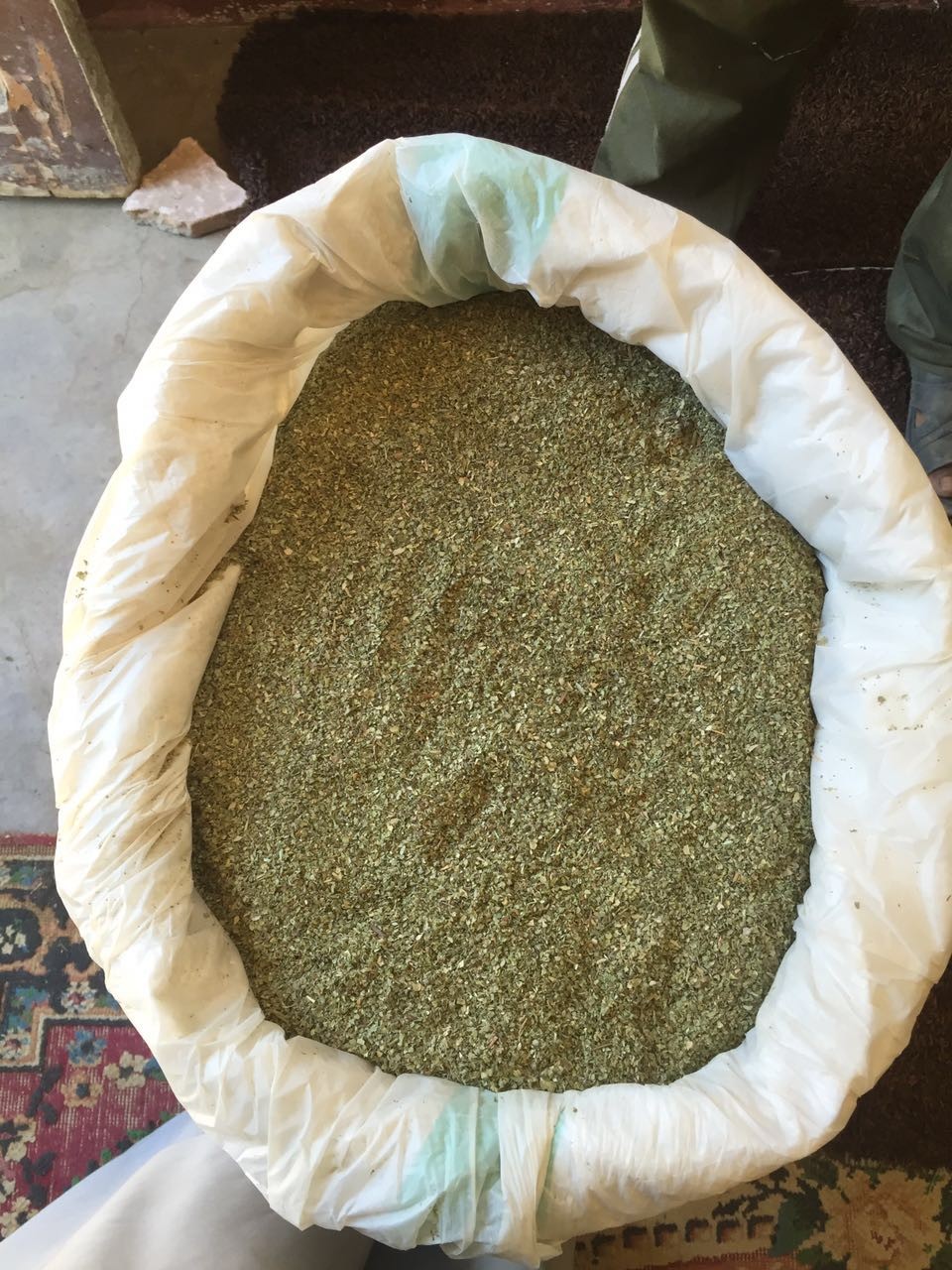 Majeranek 4,00 zł/kg  — zdjęcie 2
