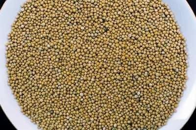 GORCZYCE PO1,50ZŁ ZA KG