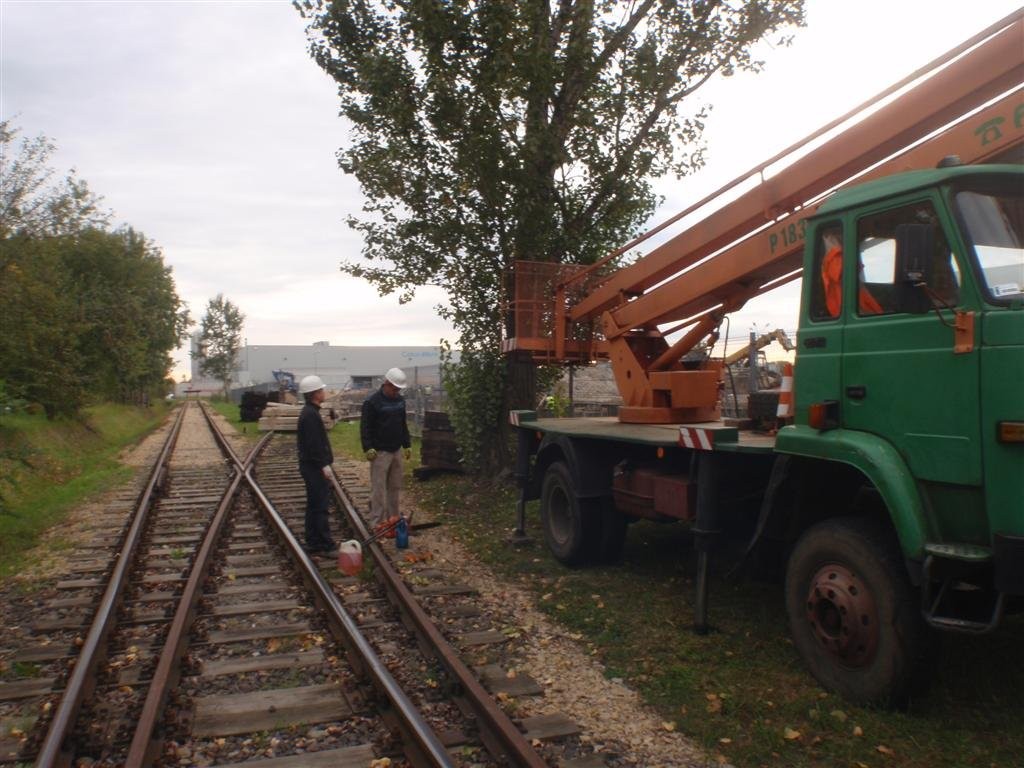 Wycinka drzew łódź, Porządkowanie terenu łódź F-V
