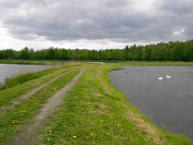 sprzedam Stawy hodowlane — zdjęcie 1