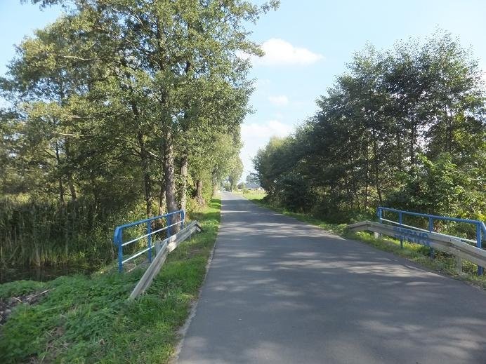 Działka 1,4 ha ul. NIWICKA dla INWESTORA — zdjęcie 3