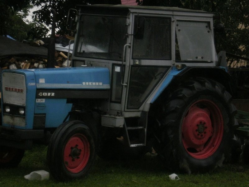 ciognik — zdjęcie 1