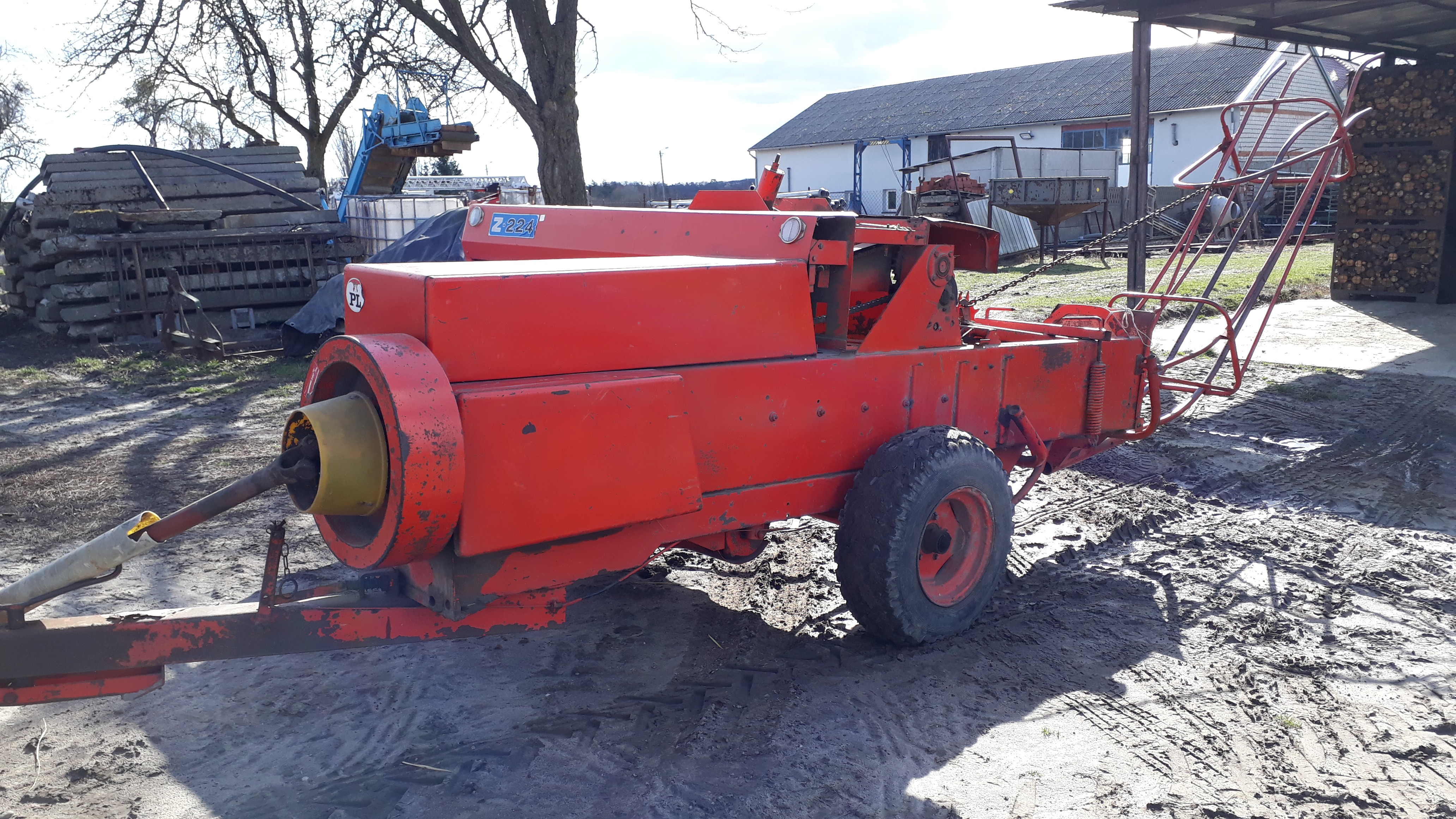 Sprzedam prase Z-224 — zdjęcie 3