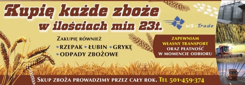 Kupię zboże min 23t