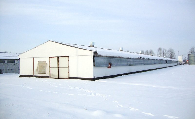 Kurnik 1200 m2 - świetna lokalizacja k/Mińska Maz. — zdjęcie 4