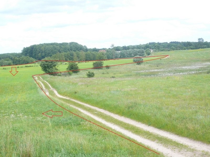 Sprzedam grunty rolne 47,56 ha w jednym kawałku — zdjęcie 4