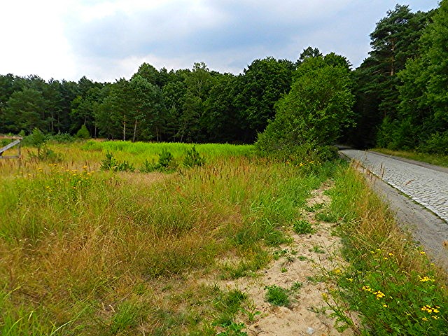 Santoczno - Działka budowlana o pow. 4400 m2 — zdjęcie 4
