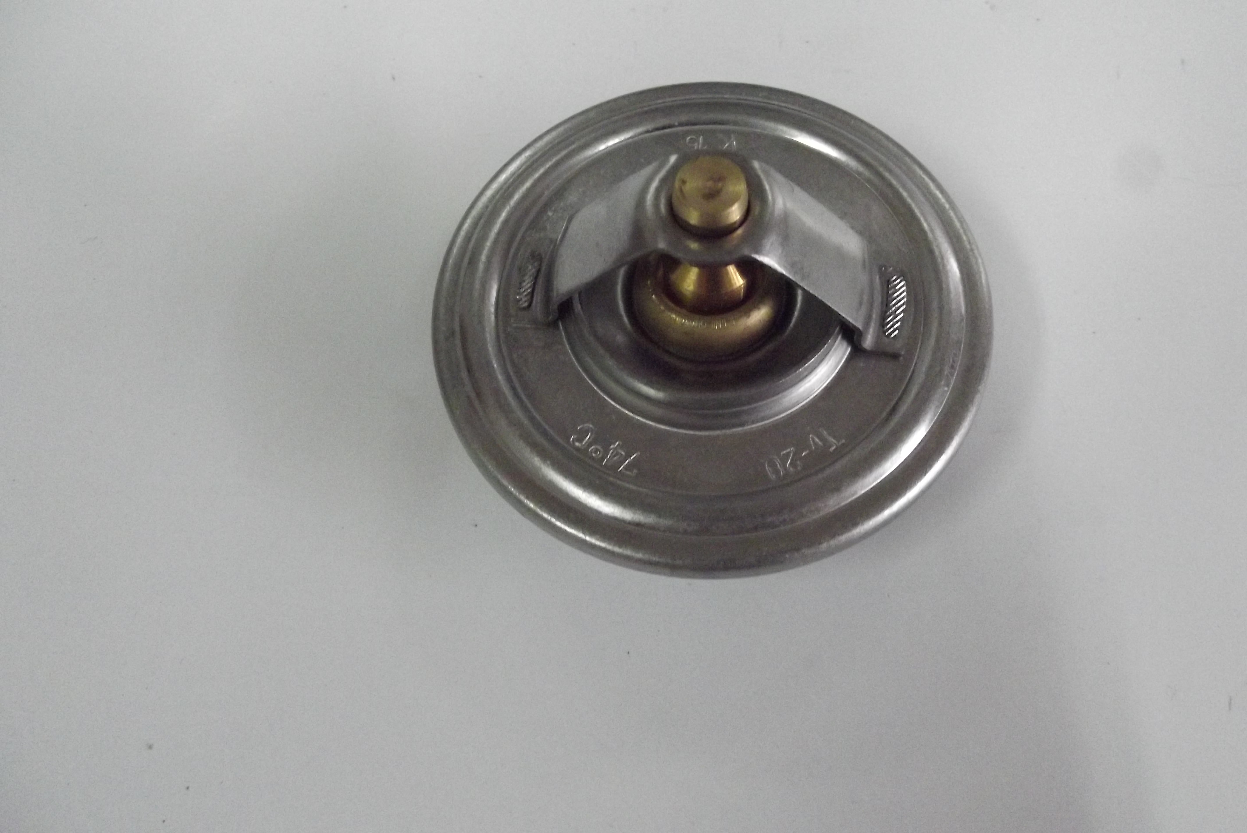 Termostat silnik SW 400 Bizon — zdjęcie 1