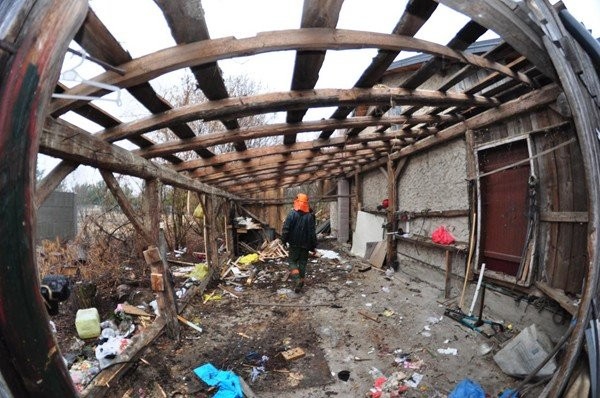 Wycinka drzew, karczowanie terenu - Zgierz, Łódź — zdjęcie 5