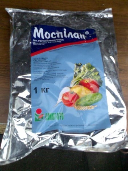 MOspilan, score, actara — zdjęcie 2