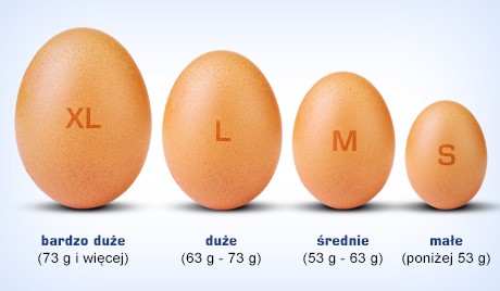 Kupie Jajka klatkowe M oraz L