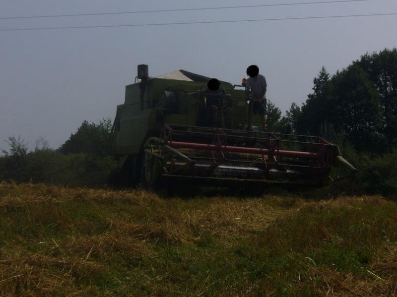 Class Dominator 80 - kombajn zbożowy — zdjęcie 1