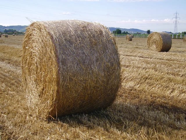 Sprzedam słomę na opał