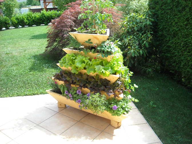 BiVITo Innowacyjna Bio Garden — zdjęcie 1