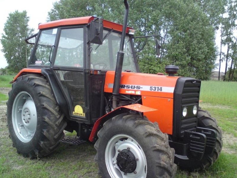 Kupie ursus 5314