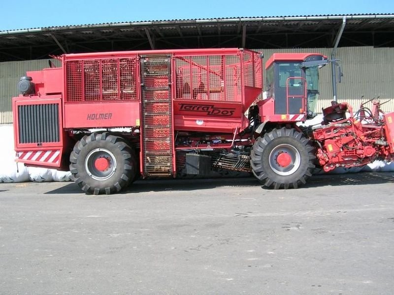Buraczany Holmer Terra Dos - 2004 rok prod.