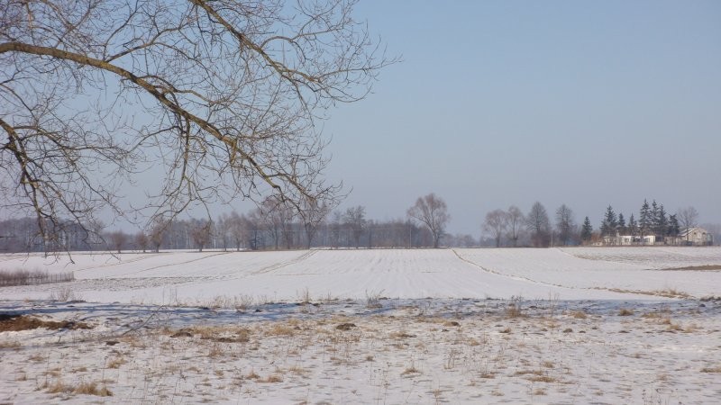 Gospodarstwo rolne 4,5ha — zdjęcie 5