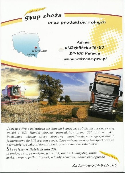 kupię kukurydzę — zdjęcie 1