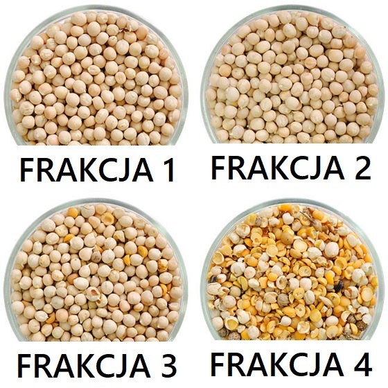 Separator aerodynamiczny SAD 10 bez cyklonu, wialnia, czyszczalnia — zdjęcie 3
