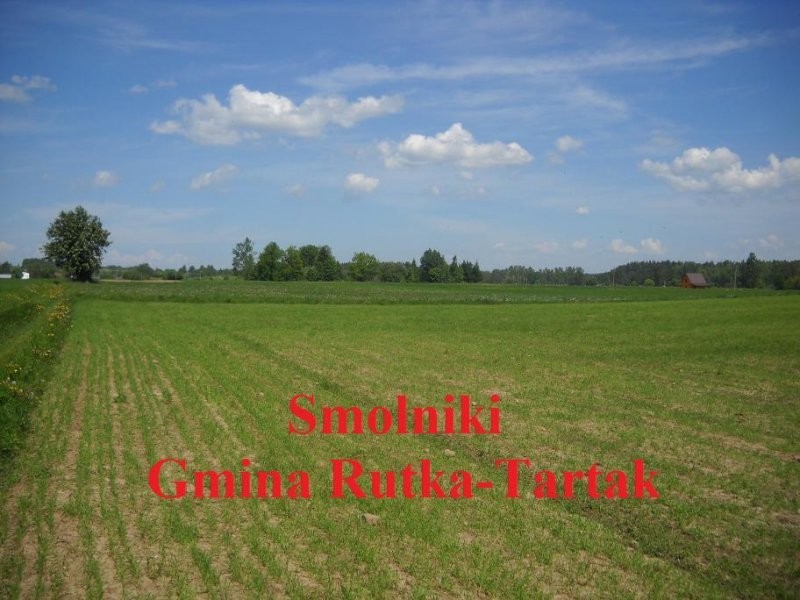 (38) Działki pod zabudowę w Smolnikach — zdjęcie 2