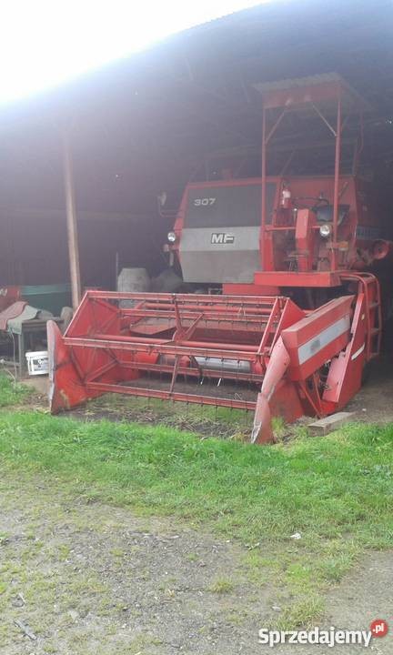 Okazja! Kombajn zbożowy Massey Ferguson sprzedaż lub zamiana — zdjęcie 2