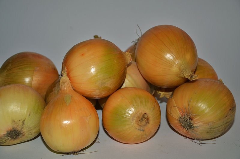 SPRZEDAM CEBULE — zdjęcie 1