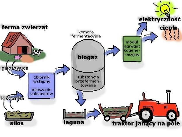 poszukujemy do współpracy- biogazownie rolnicze
