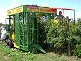 Kombajn samojezdny do zbioru malin i jeżyn — zdjęcie 1