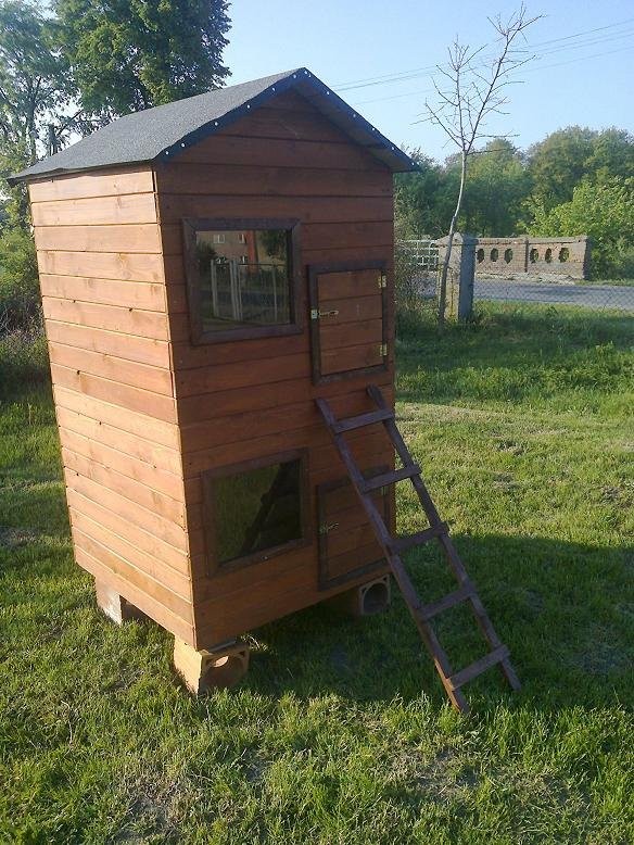 MINI KURNIKI NA 20 KUR WYSYŁKA — zdjęcie 1