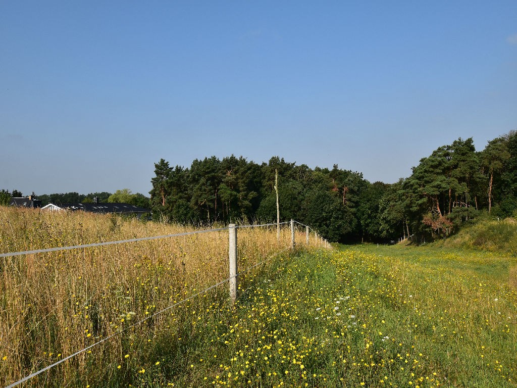 Na Sprzedaż Gospodarstwo Rolne , 507 799 m2 , Szczecin - Czepino  — zdjęcie 6
