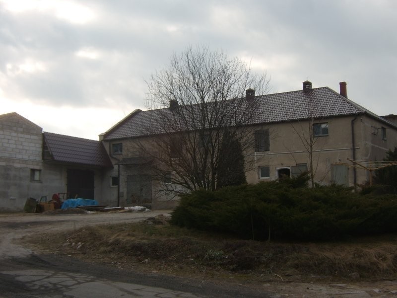 Gospodarstwo rolne20ha pom.hodowlano magazynowe — zdjęcie 1