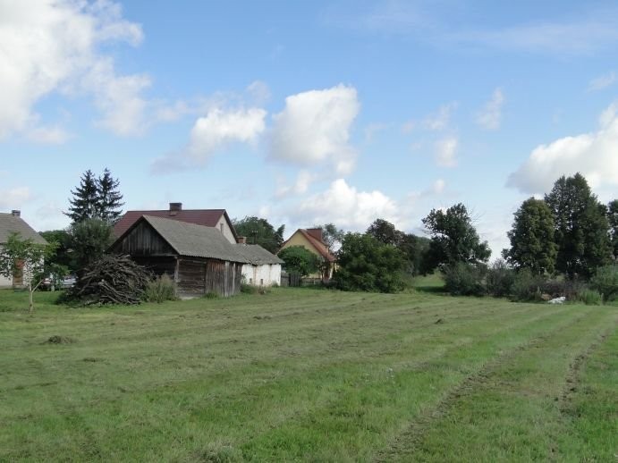 Gospodarstwo sadownicze — zdjęcie 4